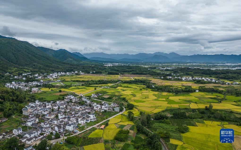 凤凰网(电脑版)